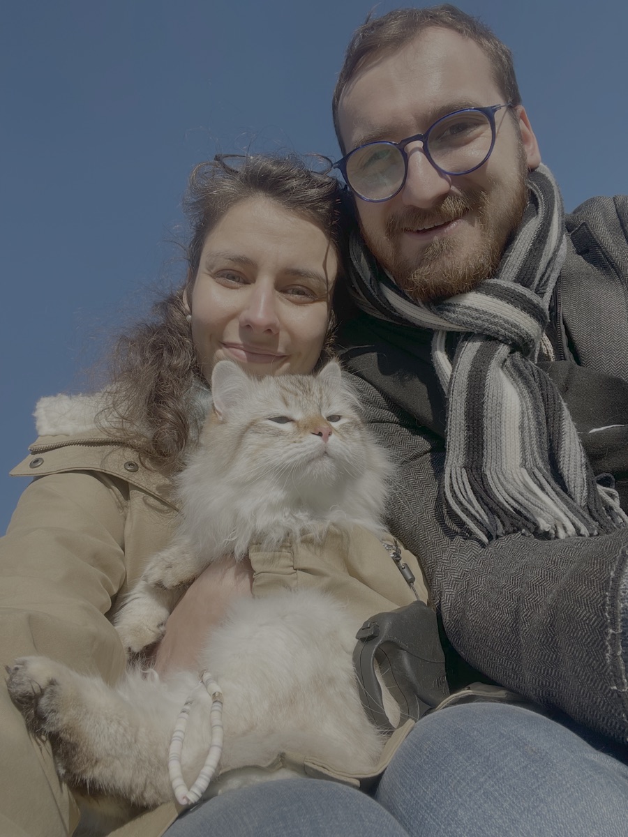 Le chat de la famille, notre enfant à poils